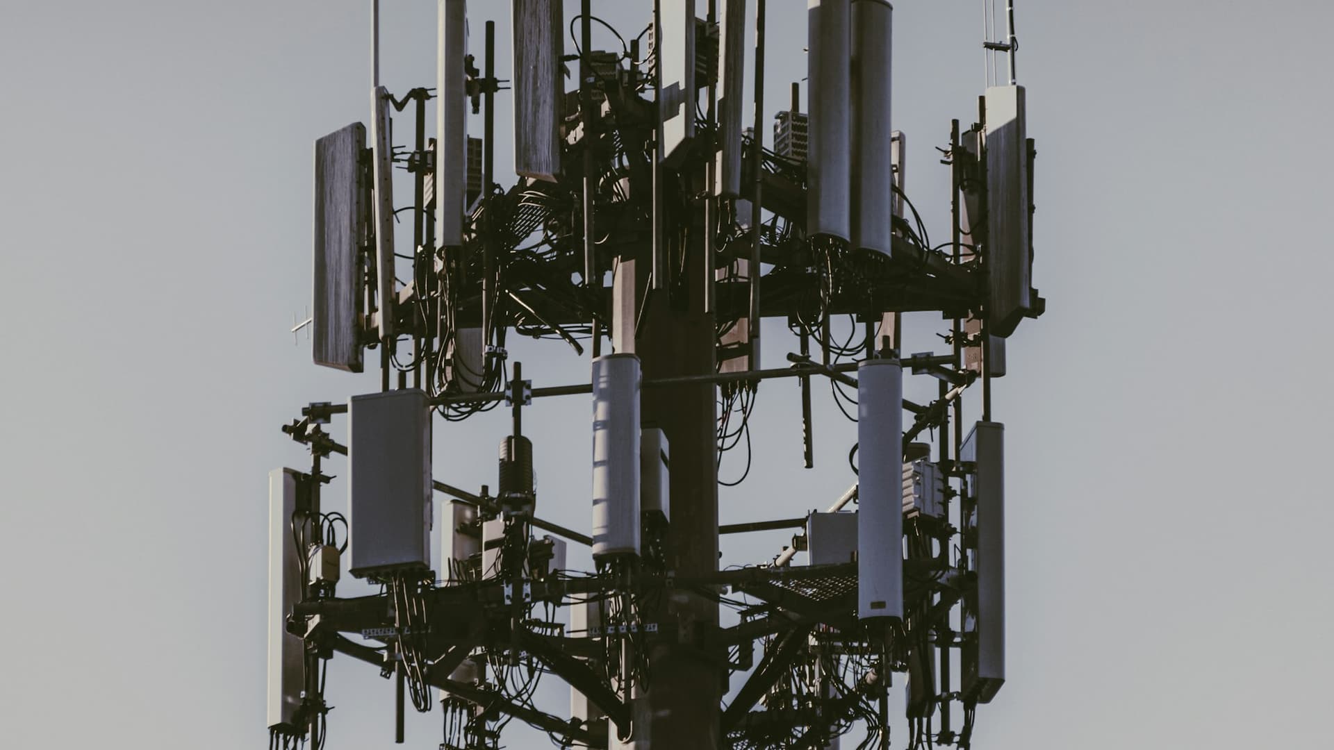 Wide view of wireless tower infrastructure in the field.